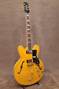 Epiphone Sheraton NT